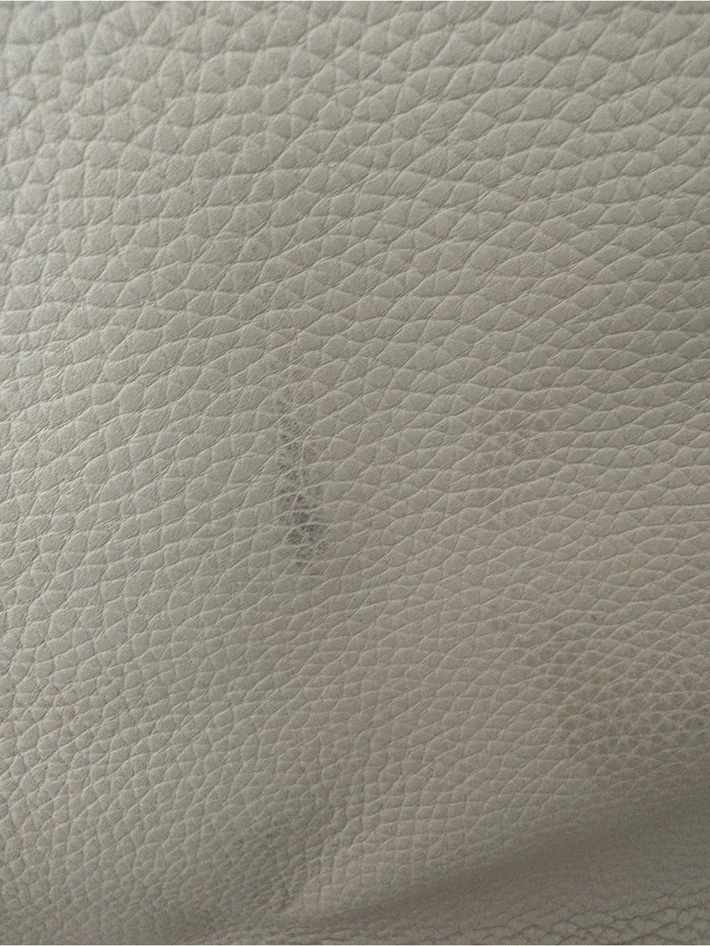 Coach Gotham Tall Tote
